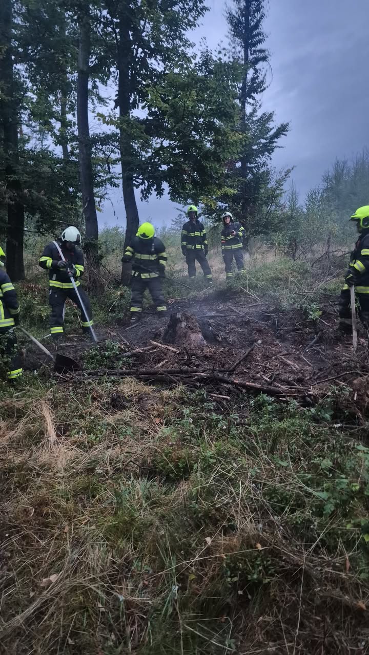 Hasiči Velešín