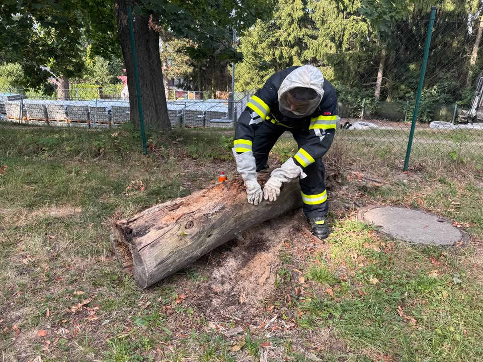 Hasiči Velešín