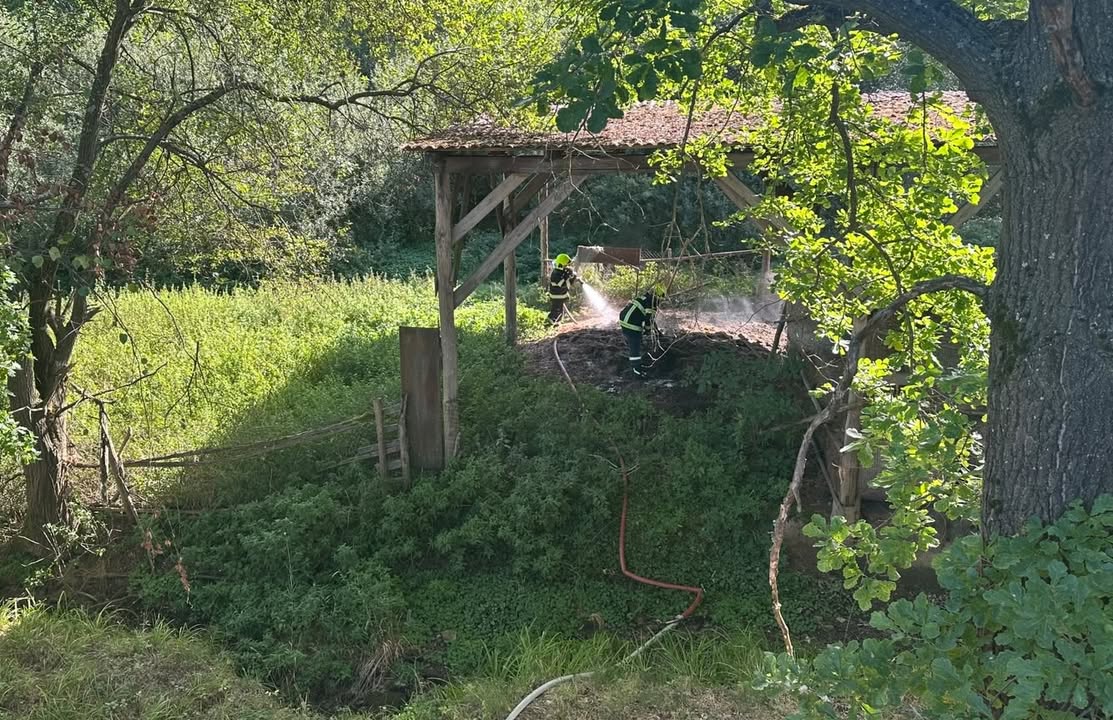 Hasiči Velešín